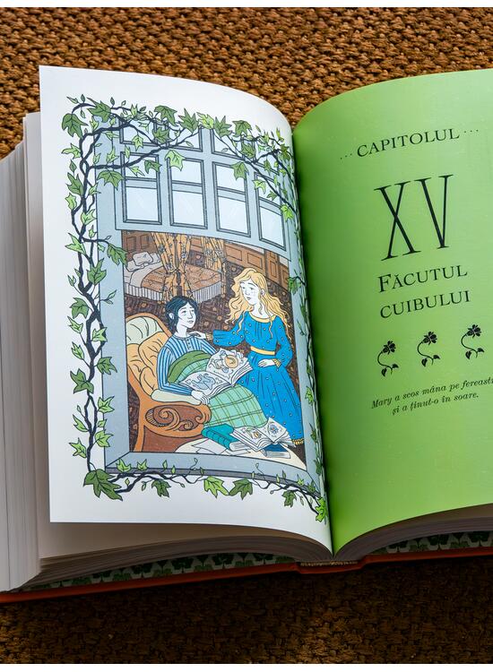 Copertă produs Pachet ilustrații de colecție (Grădina secretă, V&acirc;ntul prin sălcii) - gallery big 4