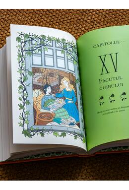 Copertă produs Pachet ilustrații de colecție (Grădina secretă, V&acirc;ntul prin sălcii)