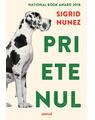 Copertă produs Pachet musai Sigrid Nunez (Prietenul, Sempre Susan) - thumb 3