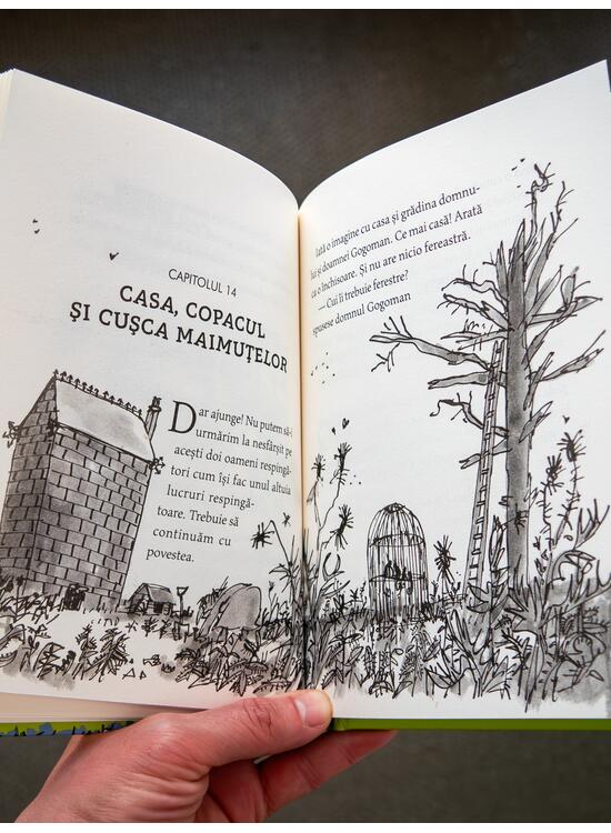 Copertă produs Gogomanii |format mic - gallery big 4