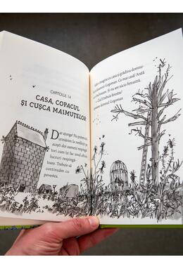 Copertă produs Gogomanii |format mic