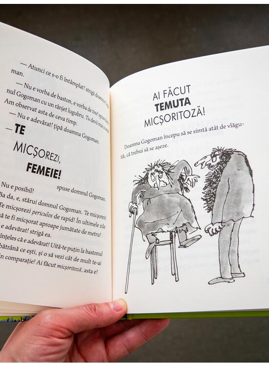 Copertă produs Gogomanii |format mic - gallery big 5