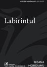 Labirintul