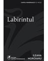 Copertă produs Labirintul - thumb 1