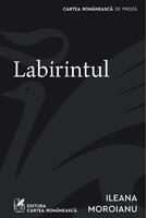Labirintul