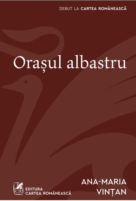 Copertă produs Orașul albastru