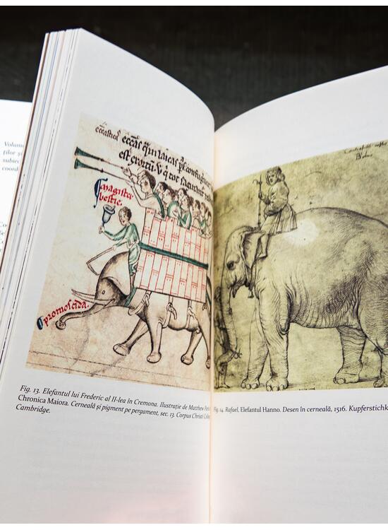 Copertă produs Elefantul lui Carol cel Mare. Un anti-manual de istorie - gallery big 6