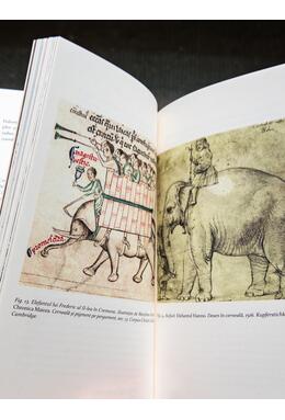 Copertă produs Elefantul lui Carol cel Mare. Un anti-manual de istorie