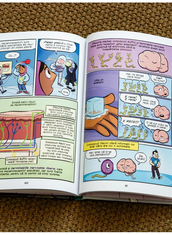 Copertă produs Creierul. Cea mai avansată mașinărie de g&acirc;ndit (Știință &icirc;n comicsuri) - gallery big 5