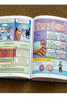 Copertă produs Creierul. Cea mai avansată mașinărie de g&acirc;ndit (Știință &icirc;n comicsuri)