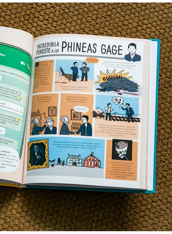 Copertă produs Uite ce face creierul meu! O carte din care &icirc;nțelegi, &icirc;n sf&acirc;rșit, ce se &icirc;nt&acirc;mplă &icirc;n mintea ta - gallery big 4