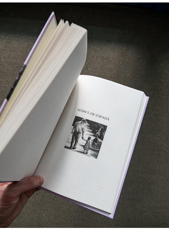 Copertă produs Povestiri cu rost. Antologie de texte basarabene - gallery big 4