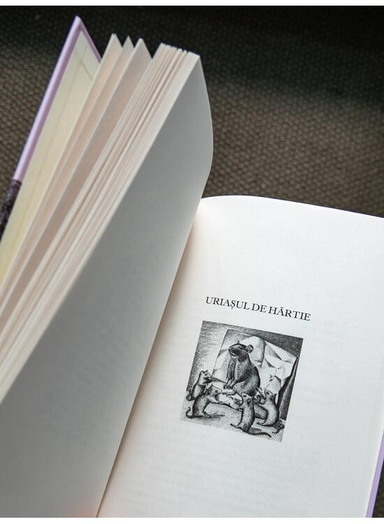 Copertă produs Povestiri cu rost. Antologie de texte basarabene - gallery big 5