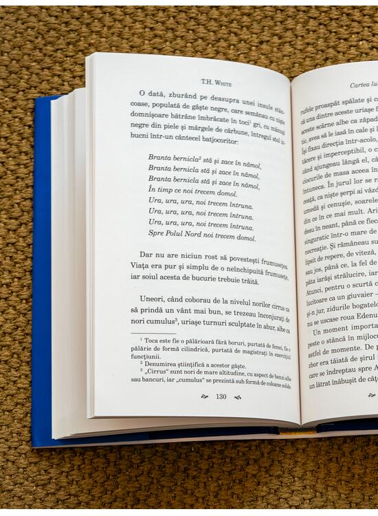 Copertă produs Cartea lui Merlyn - gallery big 4