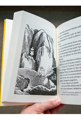 Copertă produs Momitata &icirc;și scrie memoriile | paperback