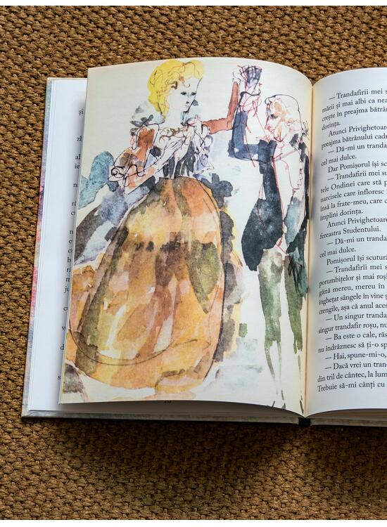 Copertă produs Prințul fericit - gallery big 5