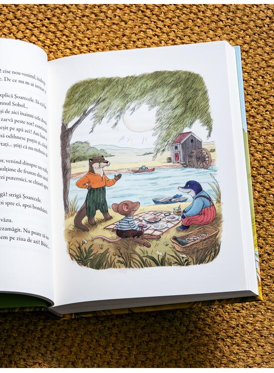 Copertă produs Vântul prin sălcii. Ilustrat de Dan Ungureanu - gallery big 5