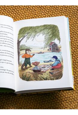 Copertă produs Vântul prin sălcii. Ilustrat de Dan Ungureanu