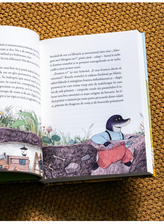 Copertă produs Vântul prin sălcii. Ilustrat de Dan Ungureanu - gallery big 6