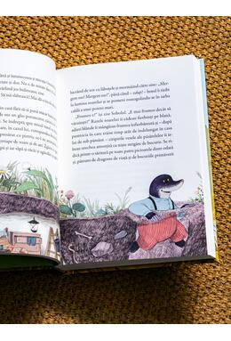 Copertă produs Vântul prin sălcii. Ilustrat de Dan Ungureanu