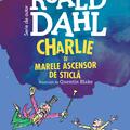 Copertă produs Pachet Roald Dahl format mic ( Din copilărie, Vrăjitoarele, Charlie și marele ascensor) - gallery small 