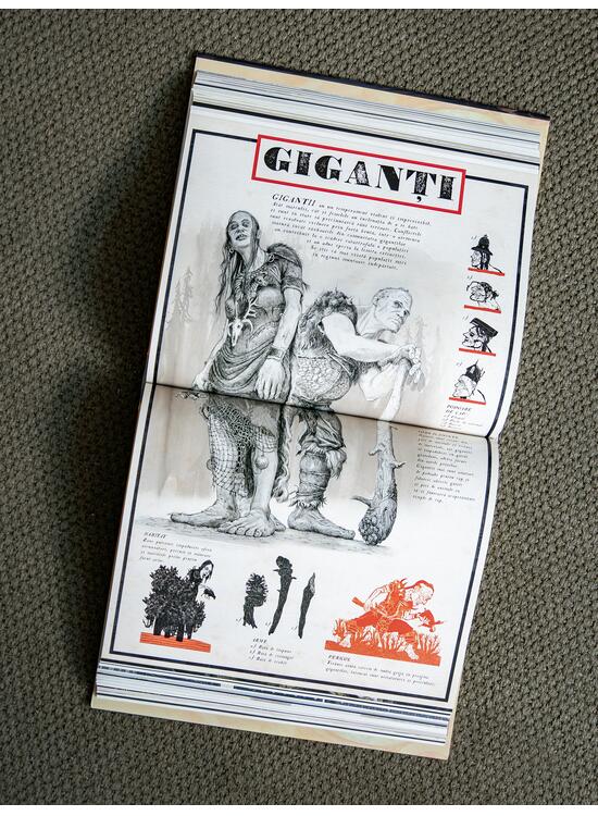 Copertă produs Pachet Harry Potter (Ordinul Phoenix ediție ilustrată, Almanah Vrăjitoresc) - gallery big 4