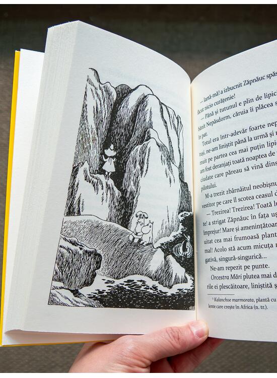 Copertă produs Pachet Aventuri în Momilandia (3 volume) - gallery big 4