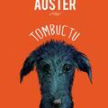 Copertă produs Pachet Paul Auster (Cartea iluziilor,Tombuctu) - gallery small 