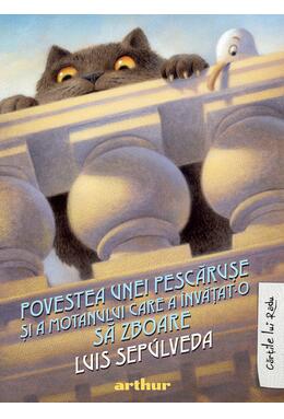 Copertă produs Pachet Povești pentru toată familia #1 (Ollie, Povestea pescărușei)