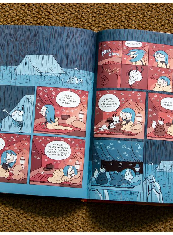 Copertă produs HILDA 1: Hilda și trolul - gallery big 5