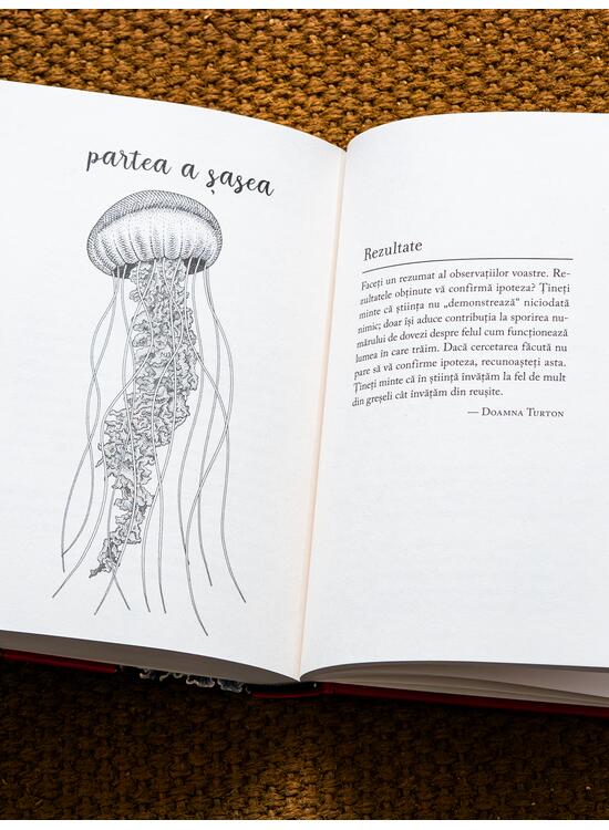 Copertă produs Ce am aflat despre meduze - gallery big 4