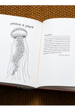 Copertă produs Ce am aflat despre meduze