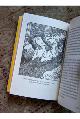 Copertă produs Pachet promo Classic Yellow (Clasa zburătoare paperback și pix)