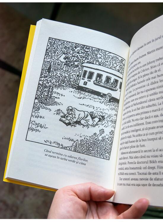 Copertă produs Pachet promo Classic Yellow (Clasa zburătoare paperback și pix) - gallery big 6