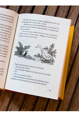 Copertă produs Pachet promo Classic Yellow (Adevăratul hoț și pix)