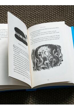 Copertă produs Pachet promo Smart Blue (Uşi &icirc;n noapte și pix)