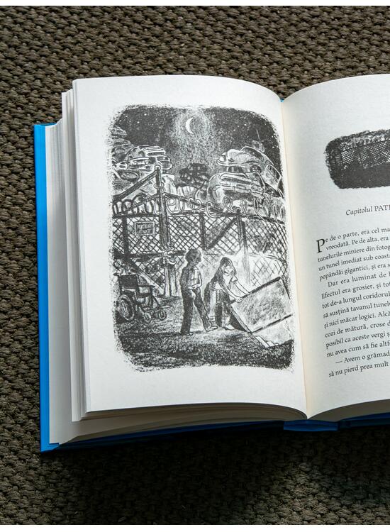 Copertă produs Pachet promo Smart Blue (Uşi &icirc;n noapte și pix) - gallery big 5