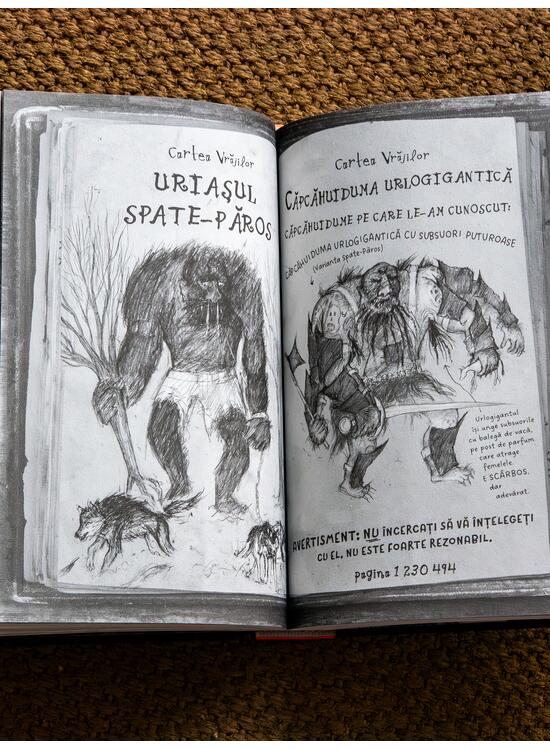 Copertă produs Pachet promo Orange Fantasy (Vrăjitorii de odinioară și pix) - gallery big 5