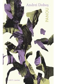 Copertă produs Panou