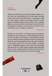 Copertă produs &Icirc;nsemnări pe tivul fustei