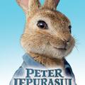 Copertă produs Peter Iepurașul - pe baza filmului - gallery small 