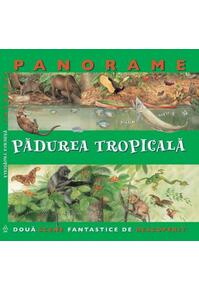 Copertă produs Pădurea tropicală
