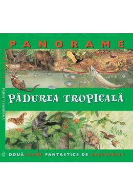 Copertă produs Pădurea tropicală