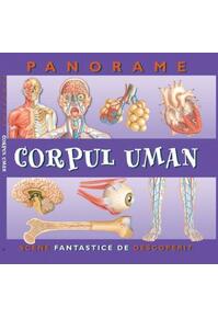 Copertă produs Corpul uman. Panorame