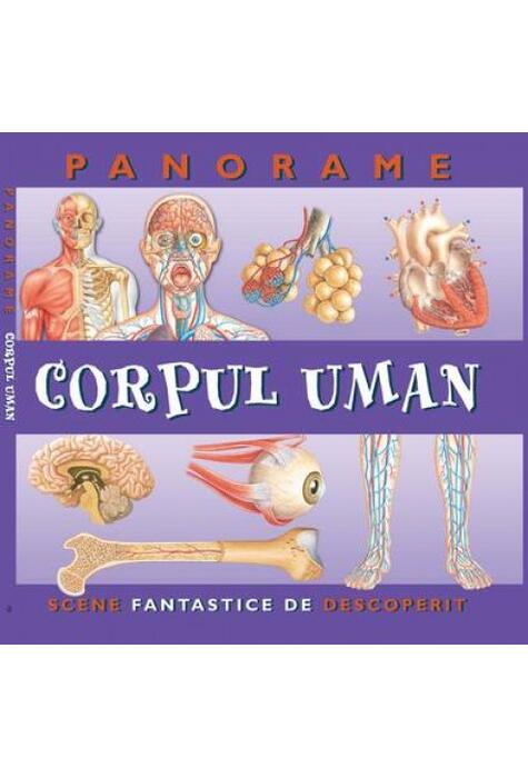 Copertă produs Corpul uman. Panorame