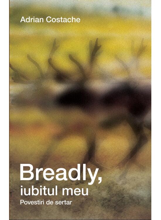 Copertă produs Breadly, iubitul meu. Povestiri de sertar - gallery big 1