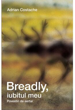 Copertă produs Breadly, iubitul meu. Povestiri de sertar