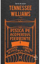 Copertă produs Pisica pe acoperisul fierbinte. Menajeria de sticla. Camino Real