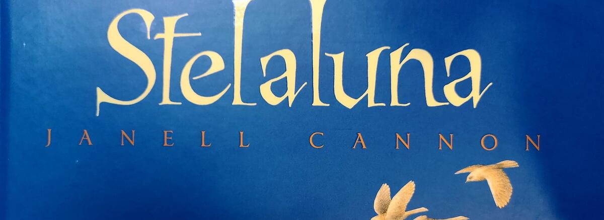 &bdquo;Cum e posibil să fim at&acirc;t de diferiți și să simțim at&acirc;t de asemănător?&rdquo;