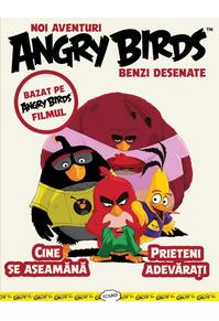 Copertă produs Angry Birds